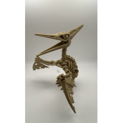 Pterodactyl Skelton -articulated
