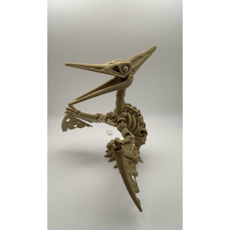 Pterodactyl Skelton -articulated