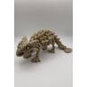 Ankylosaurus Skeloton - articulated