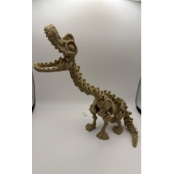 Brachiosaurus skeleton - Articulated