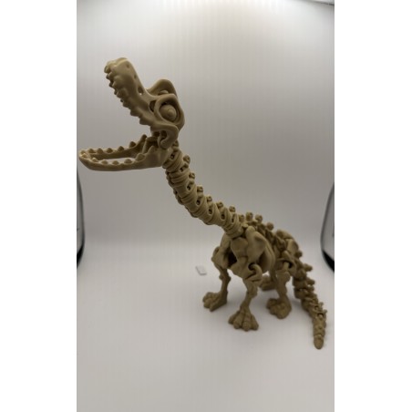 Brachiosaurus skeleton - Articulated