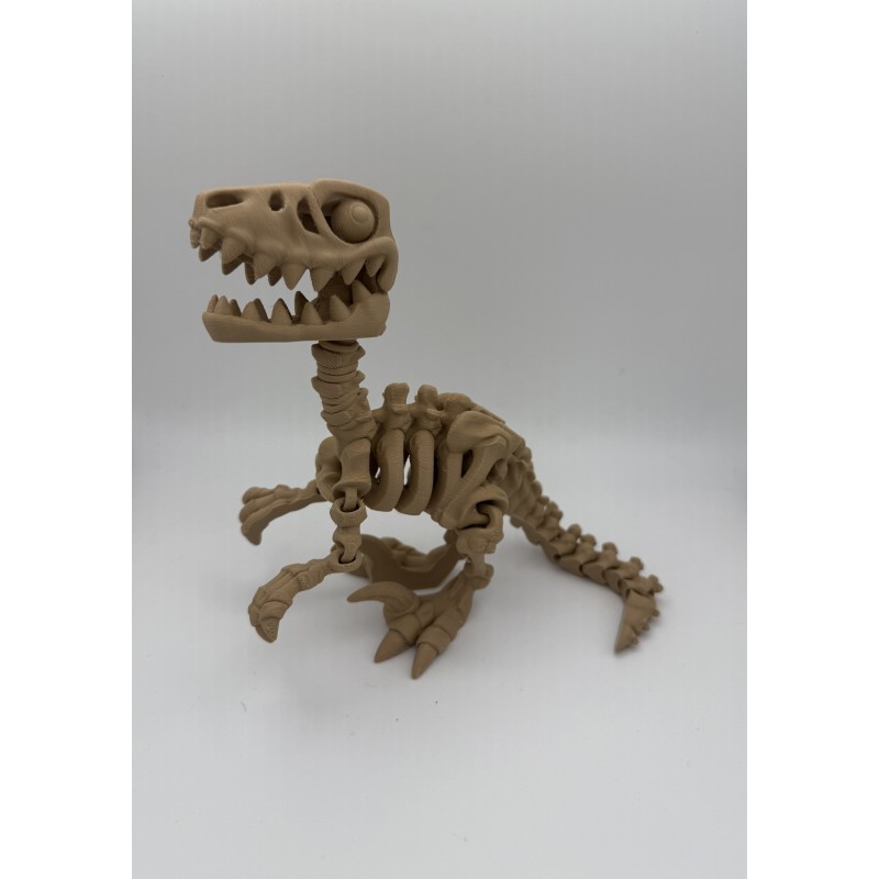 T-Rex Skeleton - Articulated