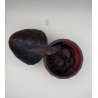 Dragon Egg