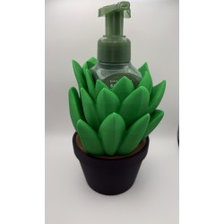 Succulent Bath and Body soap holder