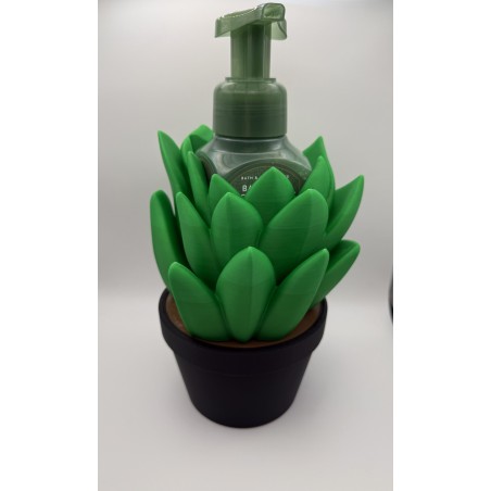 Succulent Bath and Body soap holder