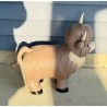 Highland Cow Standing