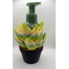 Succulent Bath and Body soap holder