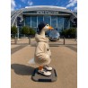 Sports Team Urban Goose
