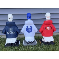 Sports Team Urban Goose
