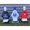 Sports Team Urban Goose